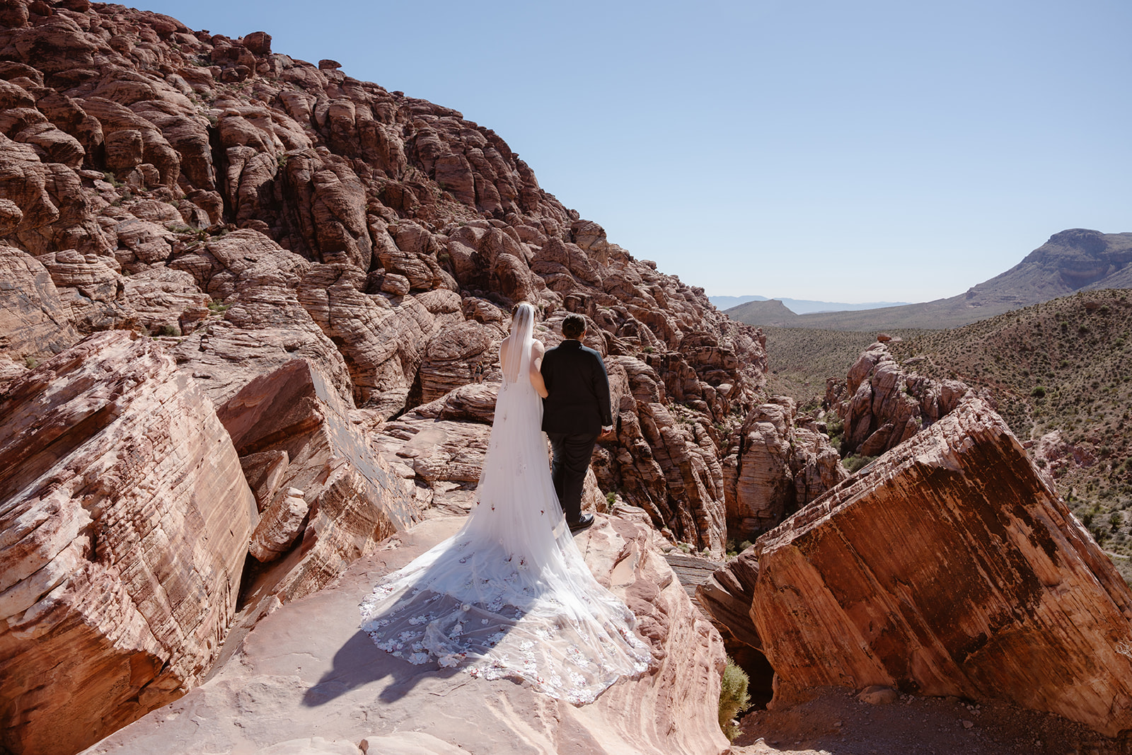 Two women stand arm in arm, looking out at the desert during their queer elopement in Red Rock Canyon